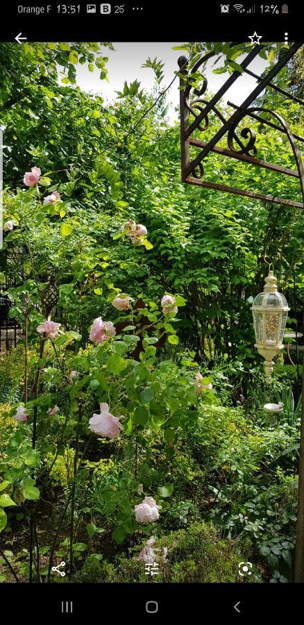 Chambres D'Hotes Jardin D'Ivoire Saint-Gervais-la-Forêt Εξωτερικό φωτογραφία